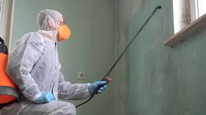 Mold Remediation for Vacation Homes in Flowing Wells, AZ